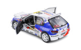 Peugeot 306 Maxi Night Version - Rallye Montecarlo - 1998 - #16 G.Panizzi / H.Panizzi