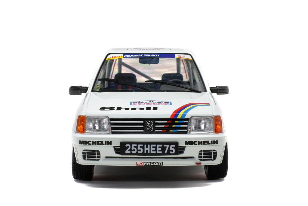 PEUGEOT 205 RALLYE USINE - TOUR DE CORSE 1989 - J.LE BIHAN #91